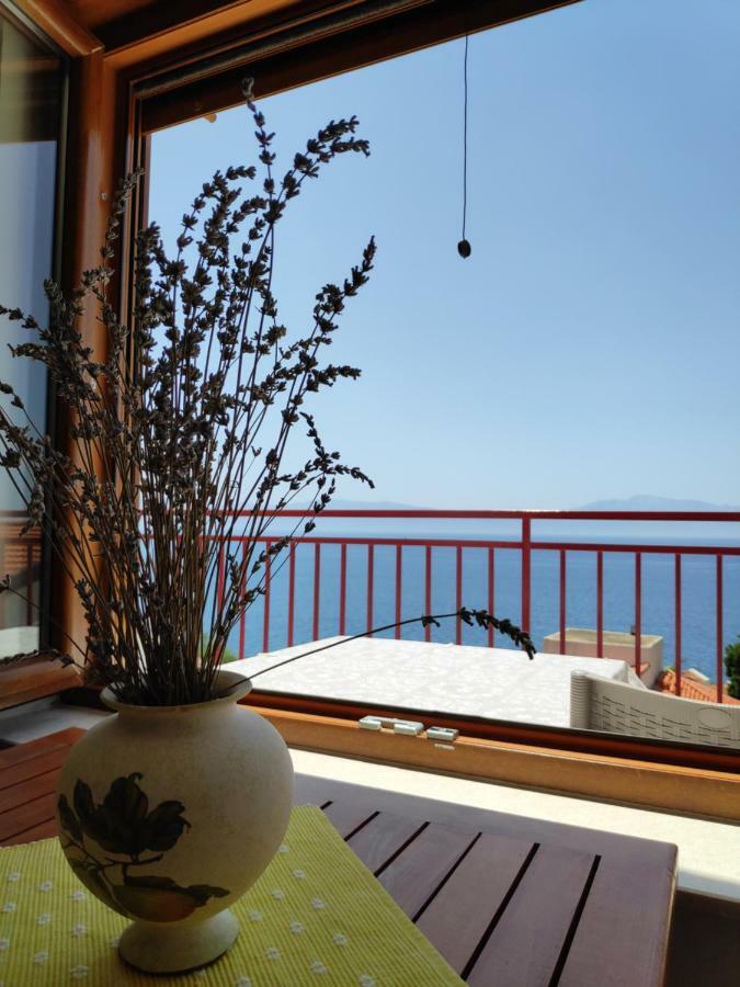 Apartman Anicic Podaca Eksteriør bilde